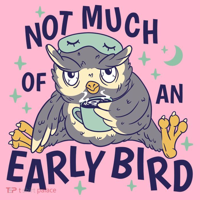 Not Much Of An Early Bird Owl T-Shirt