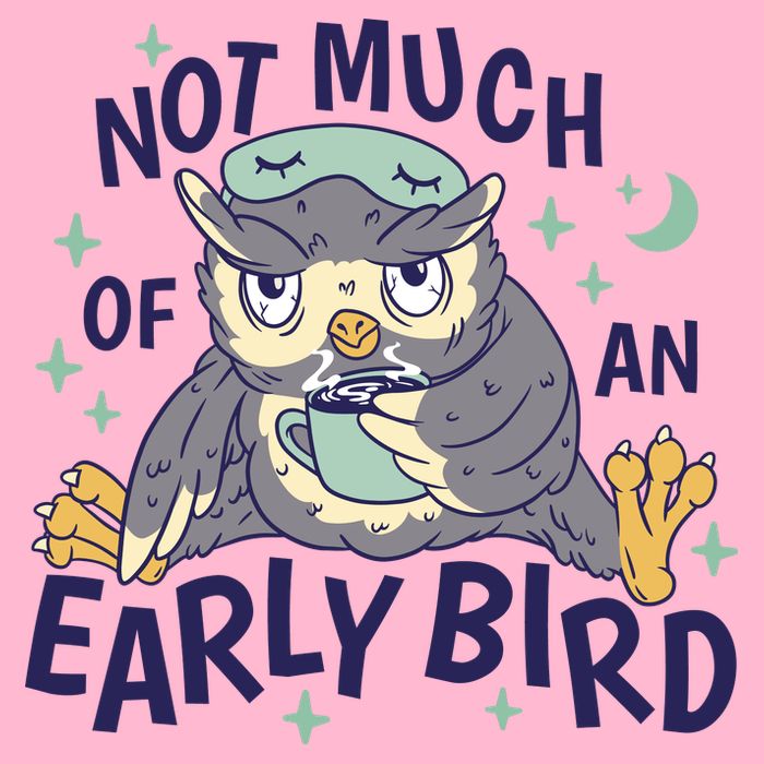 Not Much Of An Early Bird Owl Premium T-Shirt