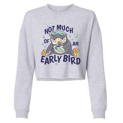 Not Much Of An Early Bird Owl Cropped Pullover Crew