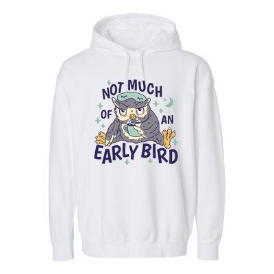 Not Much Of An Early Bird Owl Garment-Dyed Fleece Hoodie