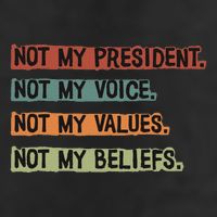 Not My President Not My Voice Not My Value Not My Beliefs 7 Panel Mesh Trucker Snapback Hat