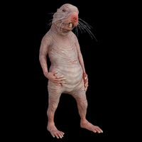 Naked Mole Rat Zookeeper Safari Animal Lover Mole Rat T-Shirt