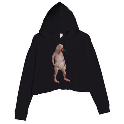 Naked Mole Rat Zookeeper Safari Animal Lover Mole Rat Crop Fleece Hoodie