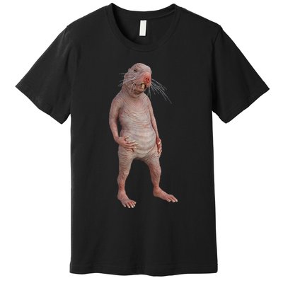Naked Mole Rat Zookeeper Safari Animal Lover Mole Rat Premium T-Shirt