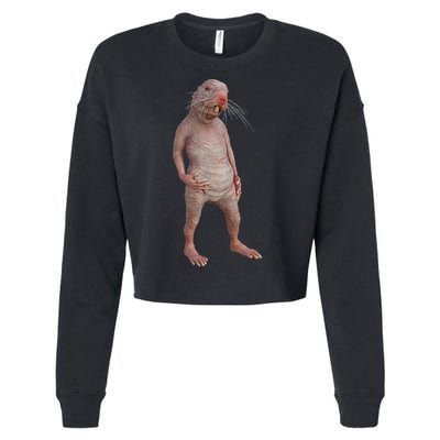 Naked Mole Rat Zookeeper Safari Animal Lover Mole Rat Cropped Pullover Crew