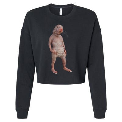 Naked Mole Rat Zookeeper Safari Animal Lover Mole Rat Cropped Pullover Crew