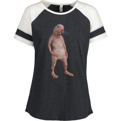 Naked Mole Rat Zookeeper Safari Animal Lover Mole Rat Enza Ladies Jersey Colorblock Tee