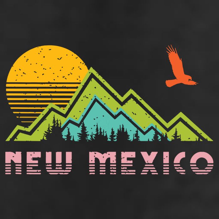 New Mexico Retro Vintage Throwback And Gift Hat