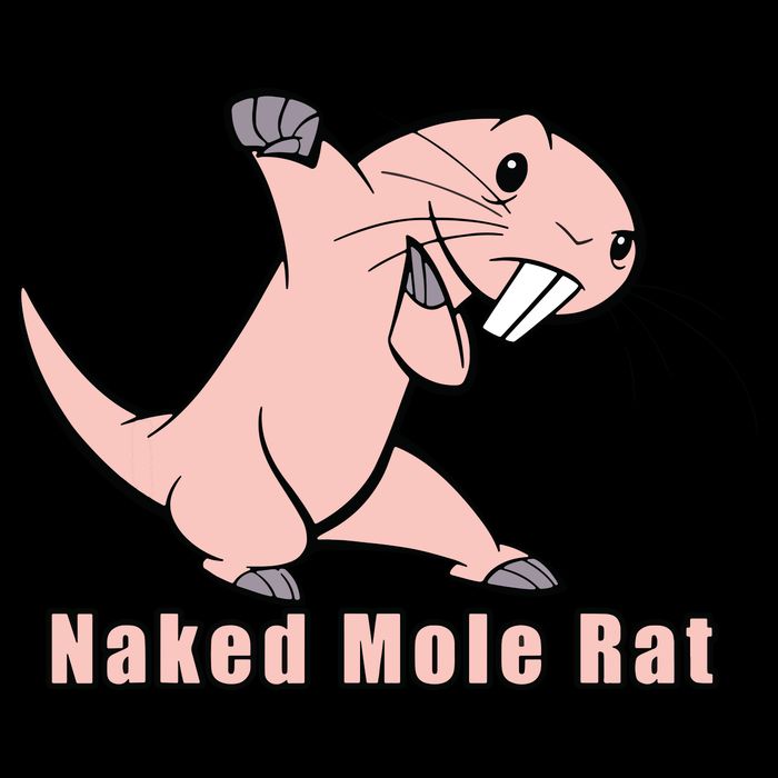 Naked Mole Rat With Life City Backpack
