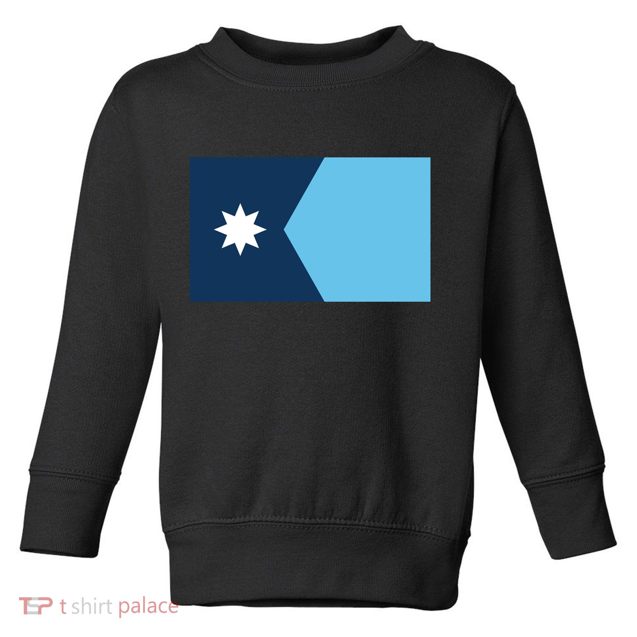 New Minnesota State Flag // 2024 Flag North Star Toddler Sweatshirt