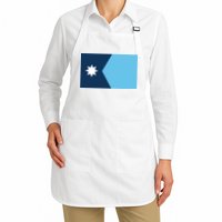 New Minnesota State Flag // 2024 Flag North Star Apron