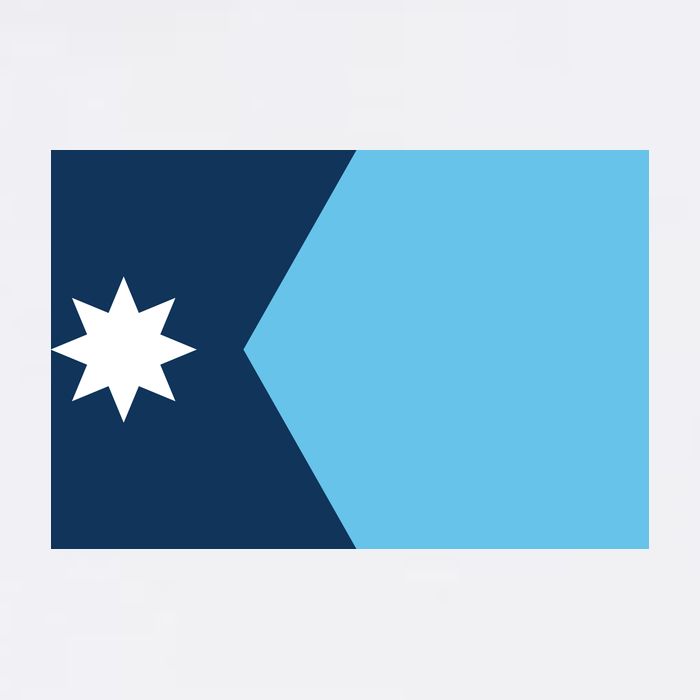 New Minnesota State Flag // 2024 Flag North Star Apron