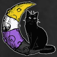 Nonbinary Moon Space Cat LGBT Pride With NB Non Binary Flag Trucker Hat