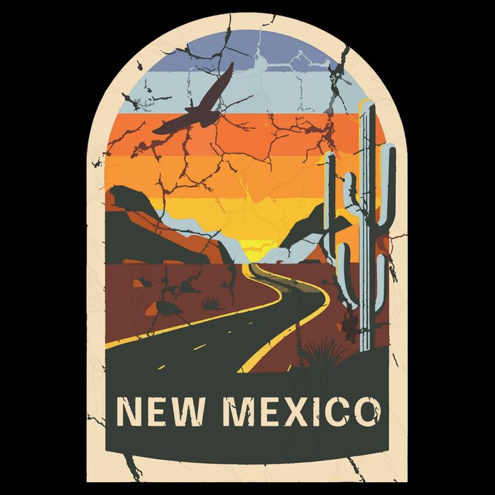 New Mexico Vintage Womens T-Shirt