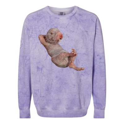 Naked Molerat Zookeeper Safari Animal Lover Mole Rat Colorblast Crewneck Sweatshirt