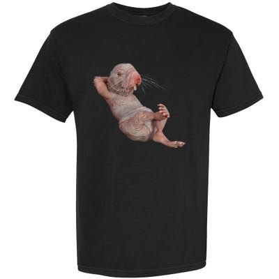 Naked Molerat Zookeeper Safari Animal Lover Mole Rat Garment-Dyed Heavyweight T-Shirt