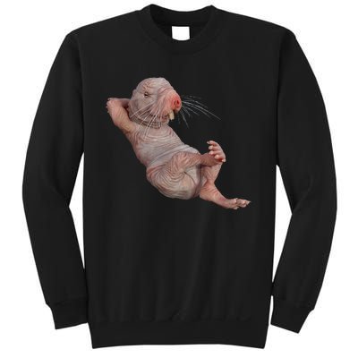 Naked Molerat Zookeeper Safari Animal Lover Mole Rat Sweatshirt