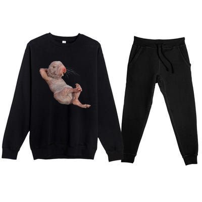 Naked Molerat Zookeeper Safari Animal Lover Mole Rat Premium Crewneck Sweatsuit Set