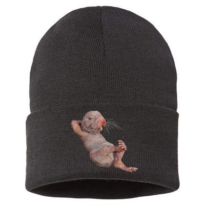 Naked Molerat Zookeeper Safari Animal Lover Mole Rat Sustainable Knit Beanie