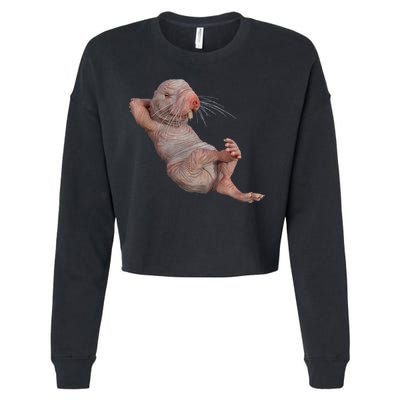 Naked Molerat Zookeeper Safari Animal Lover Mole Rat Cropped Pullover Crew