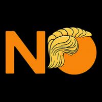 No Never Again President Donald Trump Orange Hair Meme Womens T-Shirt