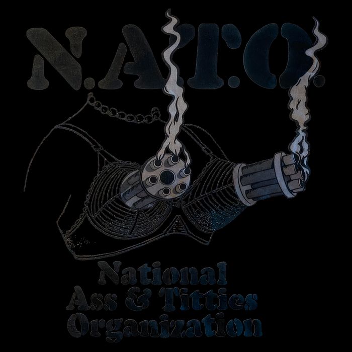 N.A.T.0 National Ass And Tities Organization Funny Joke 16 in Basic Backpack