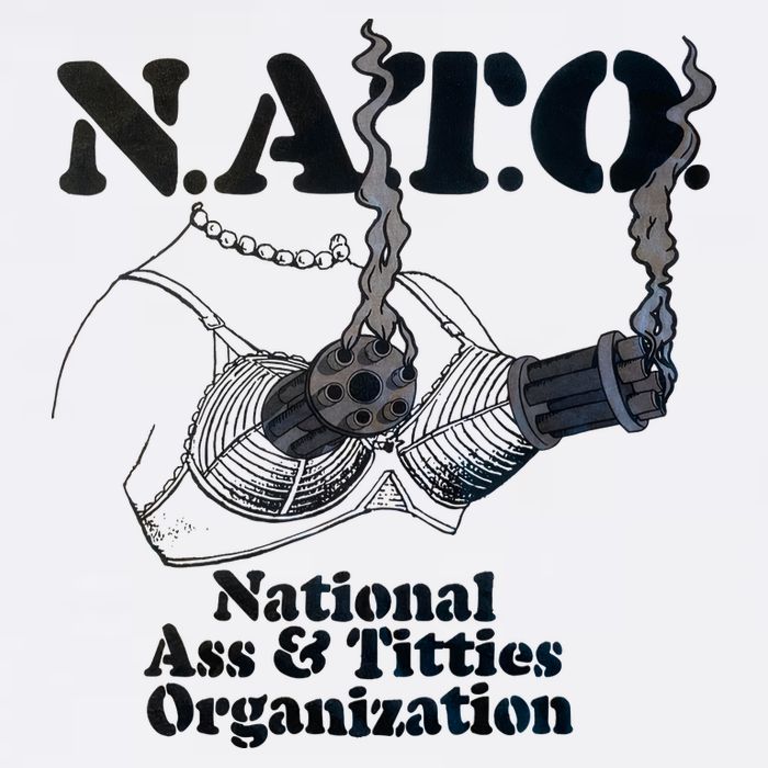 N.A.T.0 National Ass And Tities Organization Funny Joke Mesh Reversible Basketball Jersey Tank