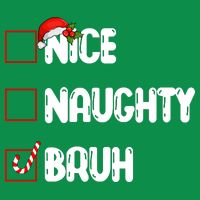Nice Naughty Bruh Santa Checklist Funny Premium T-Shirt