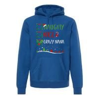 Nice Naughty Crazy Nana Christmas Matching Santa Hat Gift Premium Hoodie