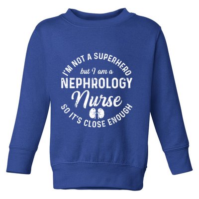 Nephrology Nurse Hero Dialysis Nursing Rn Meaningful Gift Toddler Sweatshirt