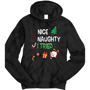 Nice Naughty I Tried SantaS Naughty List Funny Christmas Tie Dye Hoodie