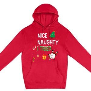 Nice Naughty I Tried SantaS Naughty List Funny Christmas Premium Pullover Hoodie