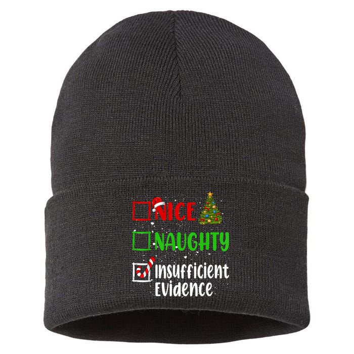 Nice Naughty Insufficient Evidence Christmas List Holiday Sustainable Knit Beanie