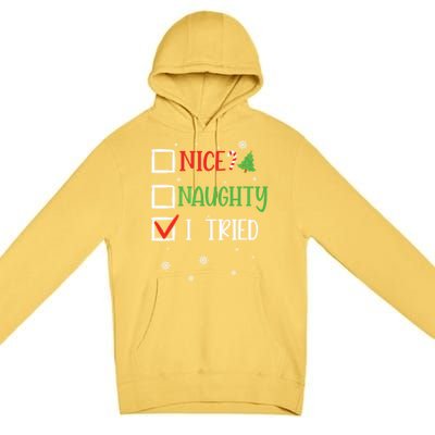 Nice Naughty I Tried Whimsical Christmas Gift Premium Pullover Hoodie