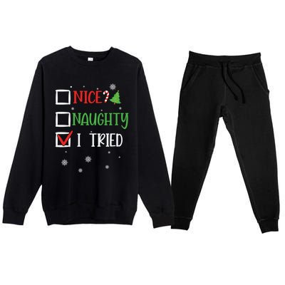 Nice Naughty I Tried Whimsical Christmas Gift Premium Crewneck Sweatsuit Set