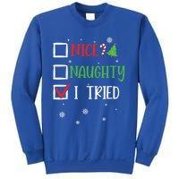 Nice Naughty I Tried Whimsical Christmas Gift Sweatshirt