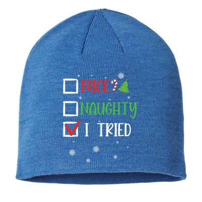 Nice Naughty I Tried Whimsical Christmas Gift Sustainable Beanie