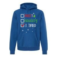 Nice Naughty I Tried Whimsical Christmas Gift Premium Hoodie