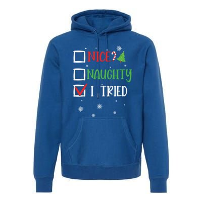 Nice Naughty I Tried Whimsical Christmas Gift Premium Hoodie