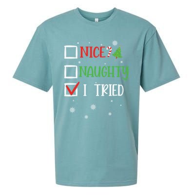 Nice Naughty I Tried Whimsical Christmas Gift Sueded Cloud Jersey T-Shirt