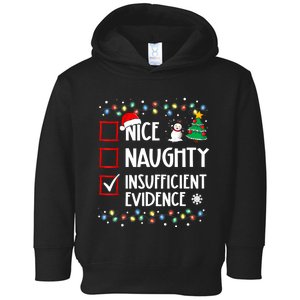 Nice Naughty Insufficient Evidence Christmas Family Xmas Toddler Hoodie