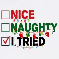 Nice Naughty I Tried Funny Christmas Checklist Women's Crop Top Tee