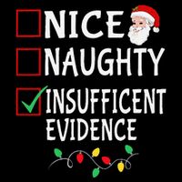 Nice Naughty Insufficent Evidence Funny Christmas List Xmas Wool Snapback Cap