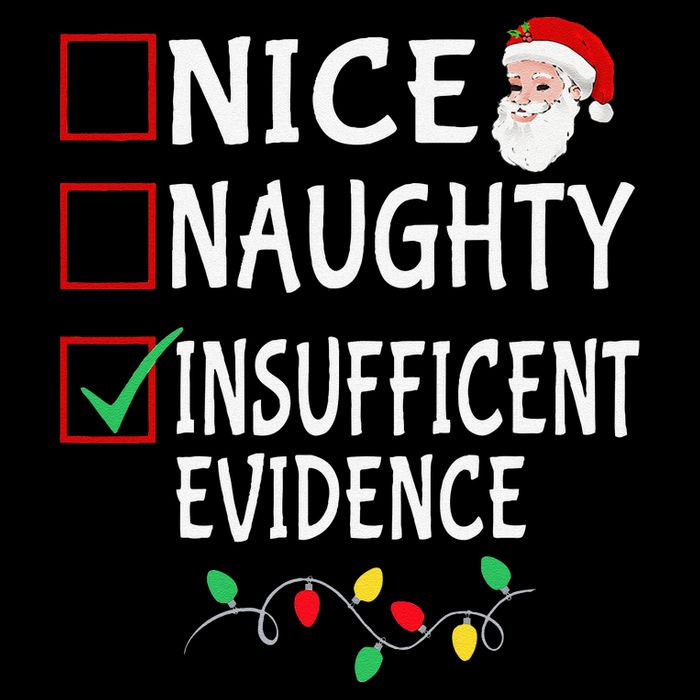 Nice Naughty Insufficent Evidence Funny Christmas List Xmas Wool Snapback Cap