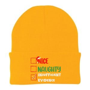 Nice Naughty Insufficient Evidence Christmas Inappropriate Knit Cap Winter Beanie