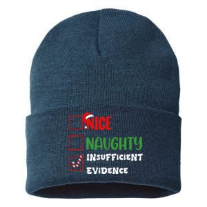 Nice Naughty Insufficient Evidence Christmas Inappropriate Sustainable Knit Beanie