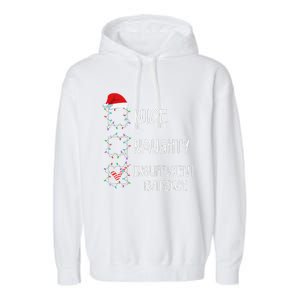 Nice Naughty Insufficient Evidence Funny Christmas List Garment-Dyed Fleece Hoodie