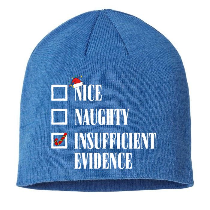 Nice Naughty Insufficient Evidence Christmas List Santa Xmas Gift Sustainable Beanie