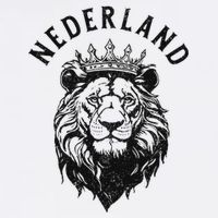 Nederland Netherlands Lion Dutch Holland Vintage Orange Womens T-Shirt