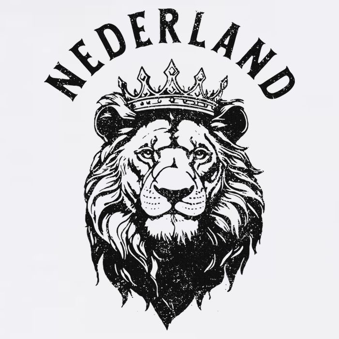 Nederland Netherlands Lion Dutch Holland Vintage Orange Womens T-Shirt